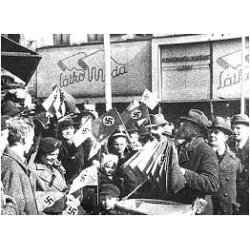 NSDAP/Weimar hand held parade flag