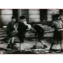 NSDAP/Weimar hand held parade flag