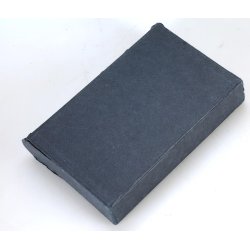 German WW2 Mein Kampf - Wedding edition 