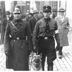 German WW2 SS/SA First Model Cap Eagle