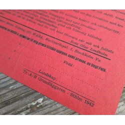 Swedish NS Nordisk Ungdom WASA recruitment poster