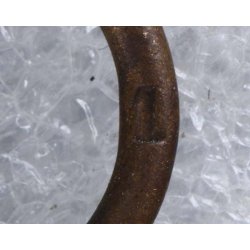 War merit cross 2 cl 1939 w/o swords '1'