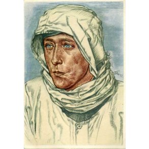 Willrich card - ''Ein bewährier spähtruppfuhrer''