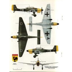 Junkers Ju 87A &amp; B 'Richard Smith'