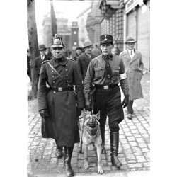 German pre WW2 Schutzpolizei - Preussen - Weimar Republic - shoulder board 