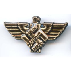 German WW2 Kreistag Bonn 1939 badge