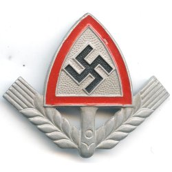 German WW2 RAD  member's cap insignia