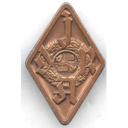 German WW2 DRV Youth sports award in Bronze