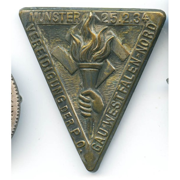 German WW2 Vereidigung der PO Gau Westfalen Nord Munster