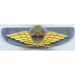 Swedish Swedish Air Force Meteorologist wing m/1946