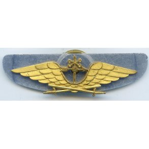 Swedish Swedish Air Force Meteorologist wing m/1946