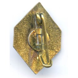German WW2 NS Stenographers Association member's pin