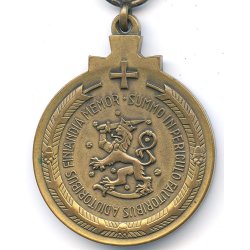 Finnish WW2 Winter War medal 1939-40 for Foreigners - Bronze version