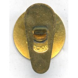 Swedish WW2 SNSP member's badge