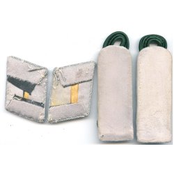 German WW2 Reich Forestry Service Landforstmeister insignia set