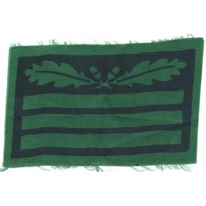 German WW2 Waffen-SS Hauptsturmf�hrer camouflage rank sleeve insignia