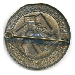 German WW2 NSBO Rally Badge 1933