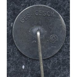 German WW2 Nationalsozialistische Volkswohlfahrt ( NSV ) member's badge