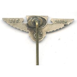German  WW2 SA Reserve II member's pin 'HB'