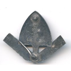German WW2 RAD  member's cap insignia