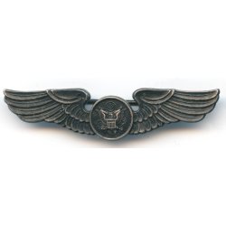 US WW2 Air Force aircrew wing badge