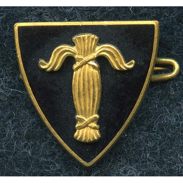 Swedish NS- National Union"Sveriges Nationella Frbund" member's badge