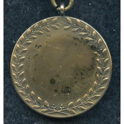 German WW2 early patriotic medal