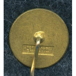 Swedish WW2 NS SNU Members badge