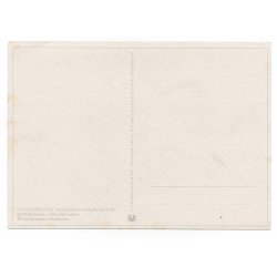 Finnish/German WW2 post card -Gebirgsjger / German ski troops