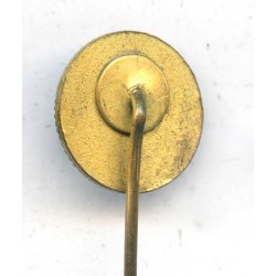 German WW2 DHV member's pin