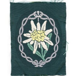 German WW2 Gebirgsjger Edelweiss arm patch - BEVO version