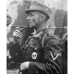 German WW2 Gebirgsj�ger Edelweiss cap badge