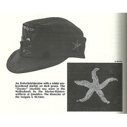 German WW2 Kriegsmarine Coastal Artillery starfish cap badge
